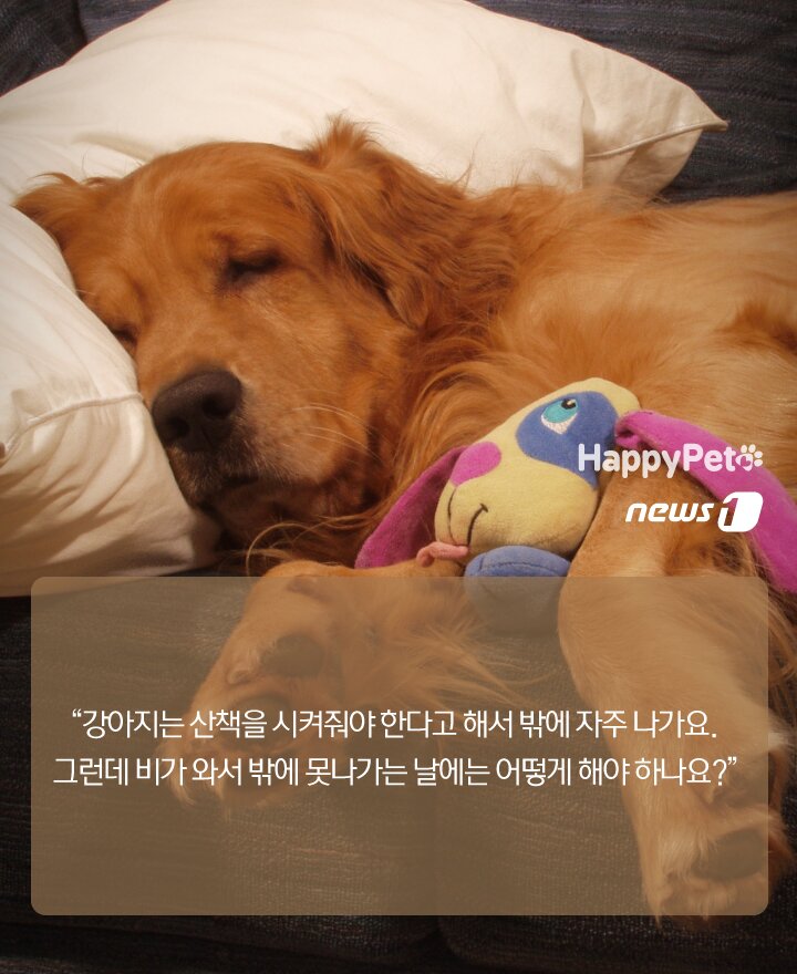 본문 이미지 -  