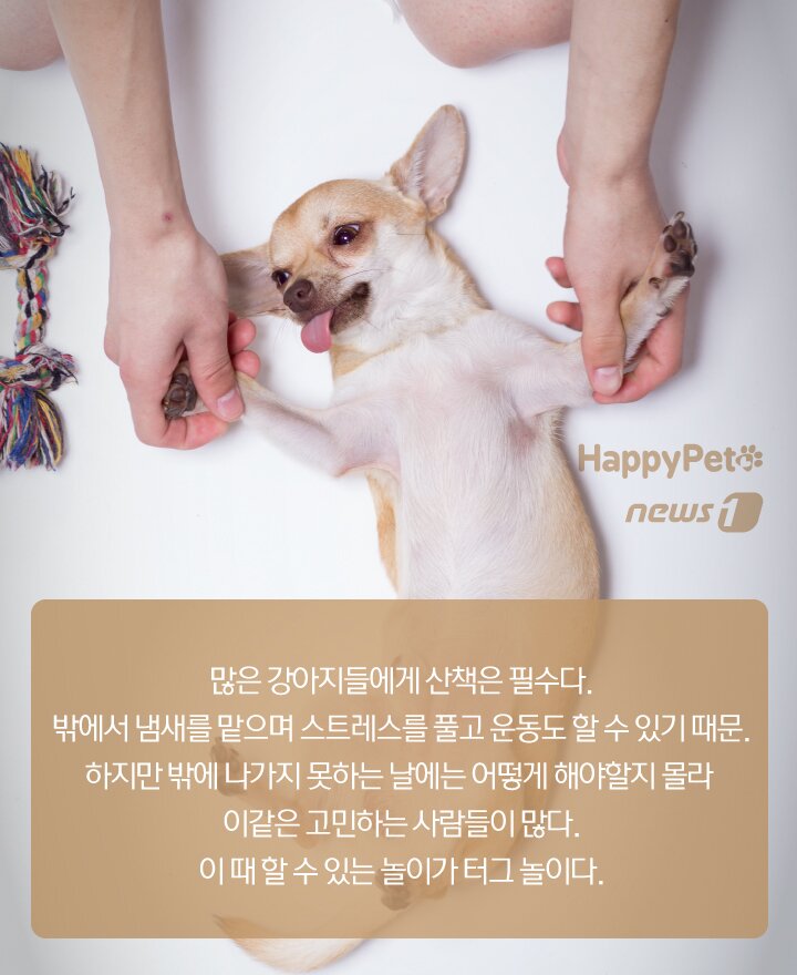 본문 이미지 -  