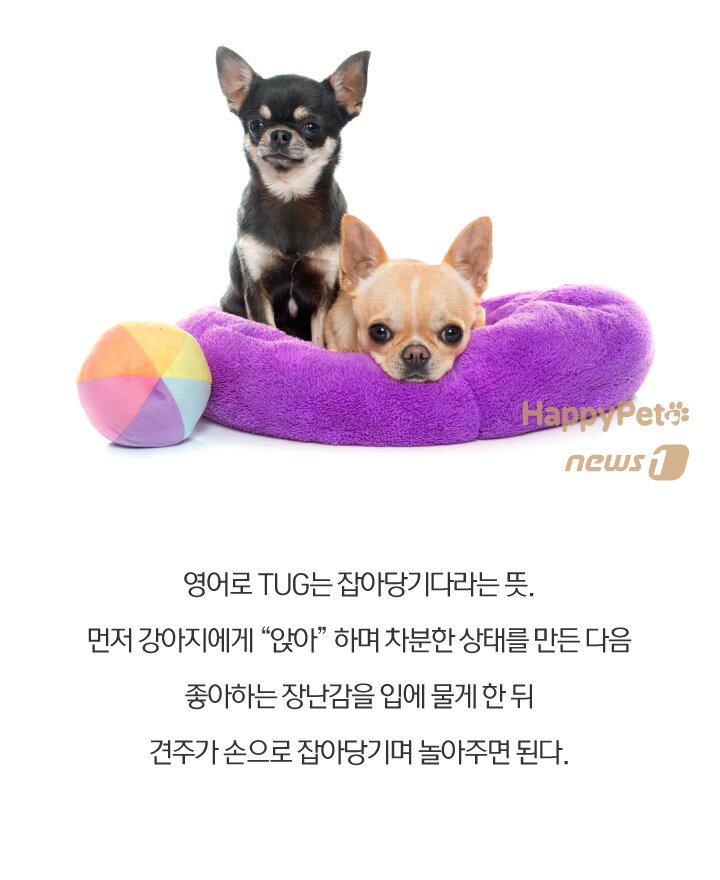 본문 이미지 -  