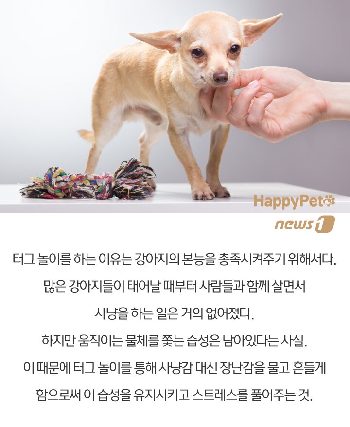 본문 이미지 -  