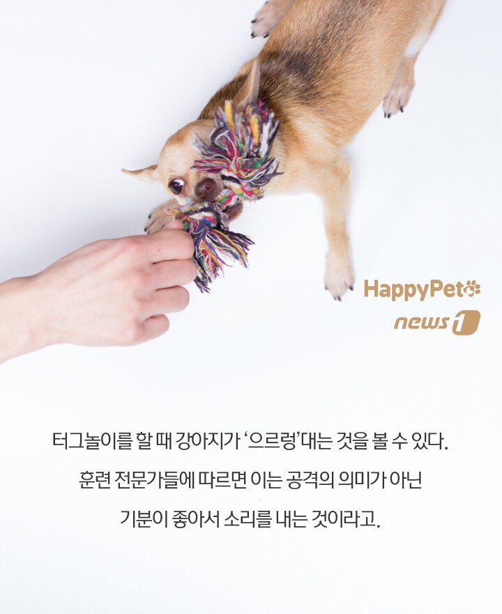 본문 이미지 -  