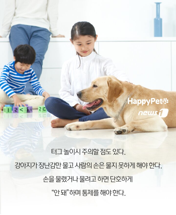 본문 이미지 -  