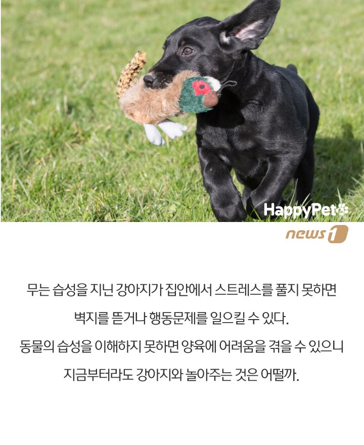 본문 이미지 -  