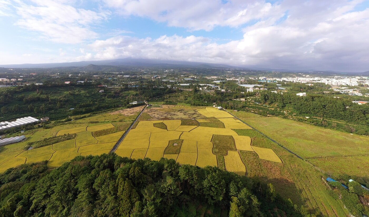 본문 이미지 - 은상작 '하논과 한라산'