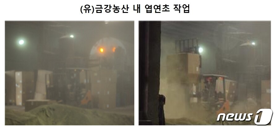 본문 이미지 - 장점마을 - 금강농산 내 엽연초 작업 장면. (환경부 실태조사 자료) /뉴스1 ⓒ News1