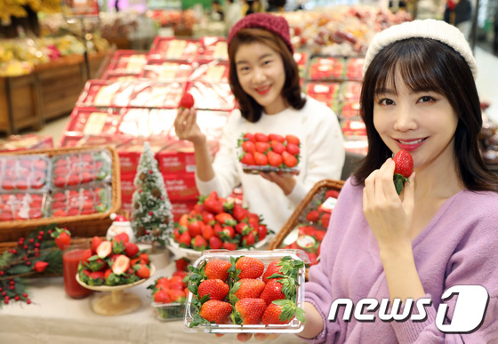 이마트 겨울 딸기 판매