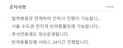 본문 이미지 - 협력병원과 연계해 안락사를 할 수 있도록 도와준다는 반려동물 장례업체 ⓒ 뉴스1