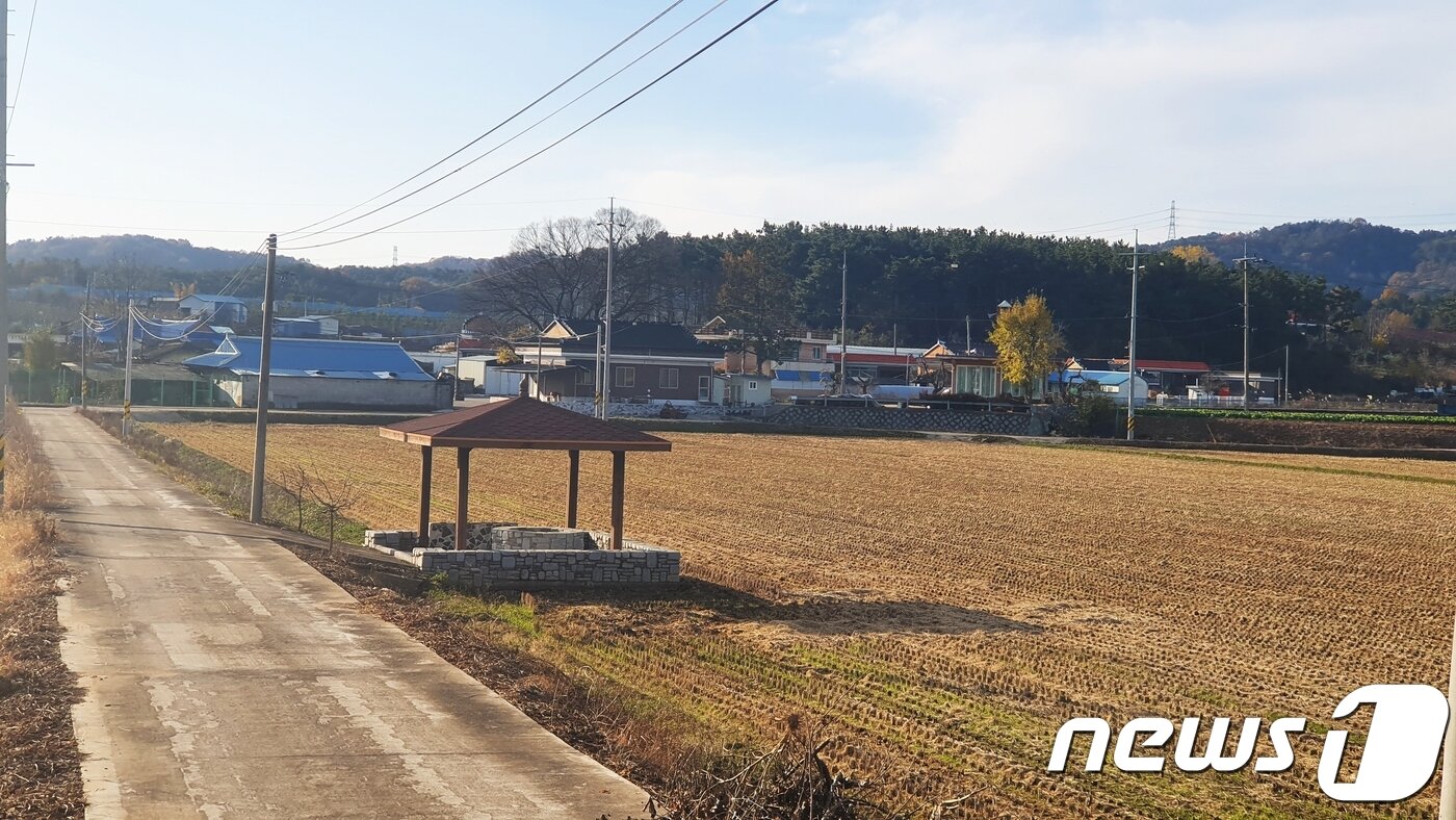 본문 이미지 - 전북 익산 장고재마을에서 바라본 장점마을. 2019.11.22 /뉴스1