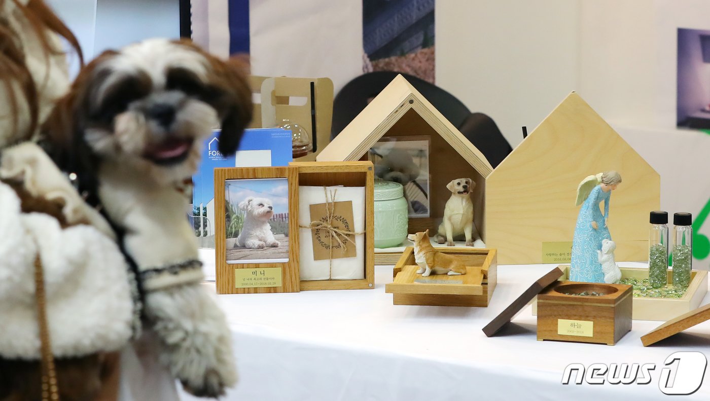 본문 이미지 - 22일 오후 경기도 고양시 일산 킨텍스 제2전시장에서 열린 '2019 케이펫페어 일산'에서 반려동물 장례업체 '펫포레스트' 부스에 유골함 등 관련용품이 전시돼 있다.  2019.11.22/뉴스1 ⓒ News1 구윤성 기자