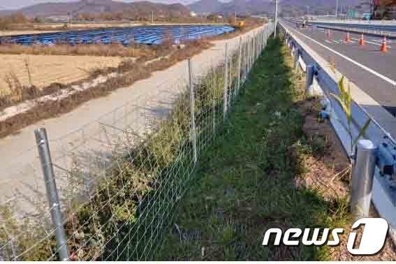 본문 이미지 - 아프리카돼지열병 확산을 막기 위해 정부가 설치한 야생멧돼지 차단 광역 울타리(파주 적성면) /사진=환경부 ⓒ 뉴스1