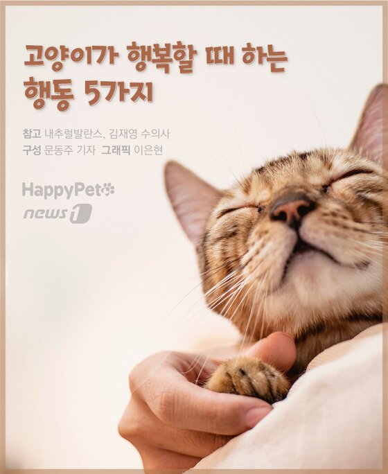 펫카드] 고양이가 행복할 때 하는 행동 5가지