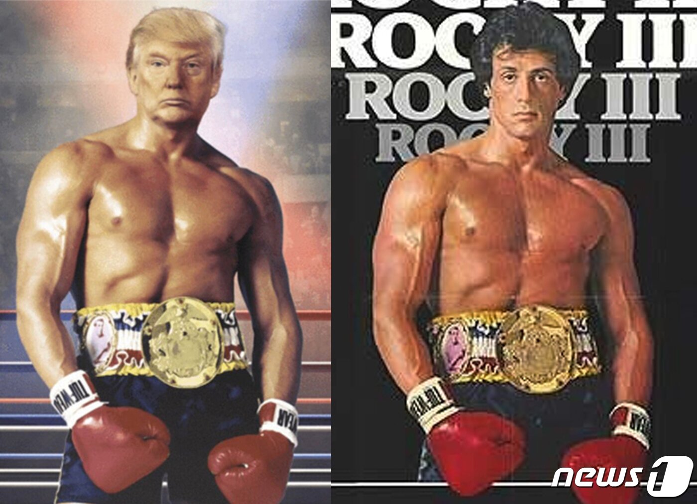 본문 이미지 - 도널드 트럼프 미국 대통령이 2019년 11월 27일(현지시간) 엑스(옛 트위터)에 게재한 영화 '록키'의 주연배우 실베스터 스탤론의 근육질 몸에 자신의 얼굴을 합성한 사진(왼쪽). (트럼프 트위터) 2019.11.28/뉴스1 ⓒ News1 이동원 기자