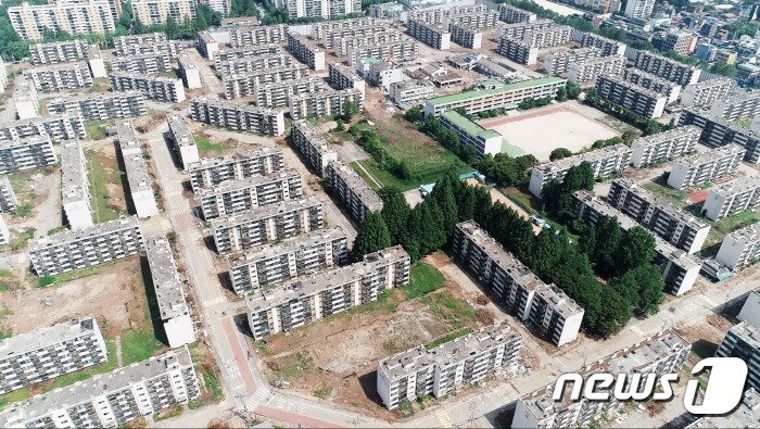 본문 이미지 - 서울 강남구 개포동 개포주공 1단지 재개발 지역 내 메타세쿼이아 길(이성민씨 제공) ⓒ 뉴스1 DB