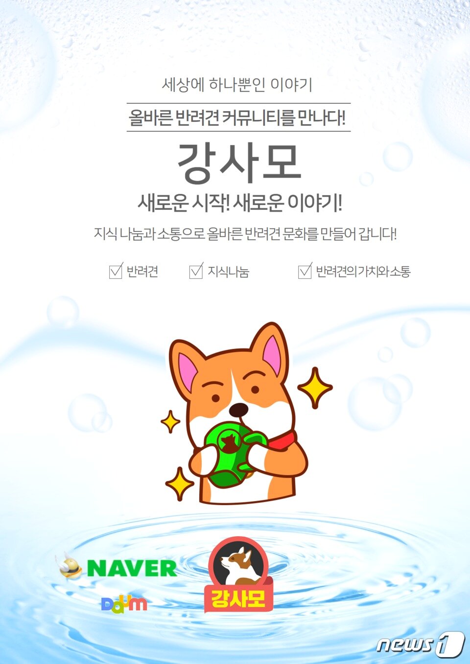 본문 이미지 - 네이버 카페 '강사모' ⓒ 뉴스1