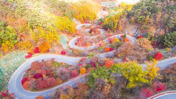 본문 이미지 - 단양지역의 단풍 관광명소로 유명한 영춘면 보발재.ⓒ 뉴스1