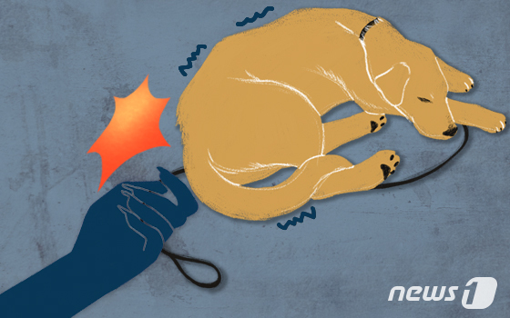 개 25마리 감전시켜 도살한 60대, 항소심도 벌금 400만원