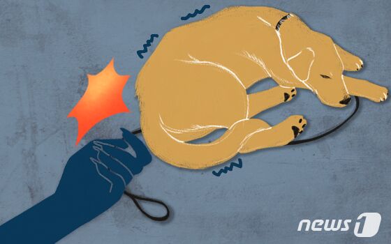 "동물학대 영상 공유 금지"…송옥주 의원, 동물보호법 발의