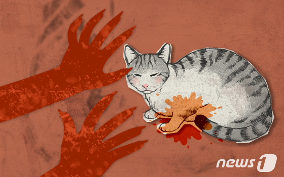 며느리 출산 중 반려묘 내버린 시모…이혼 요구하자, 남편 "애는 어떡하고"