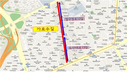 본문 이미지 - 가로수길 도로구간 현황도.압구정로12길과 도산대로13길로 이어져 있다./자료제공=강남구청ⓒ 뉴스1