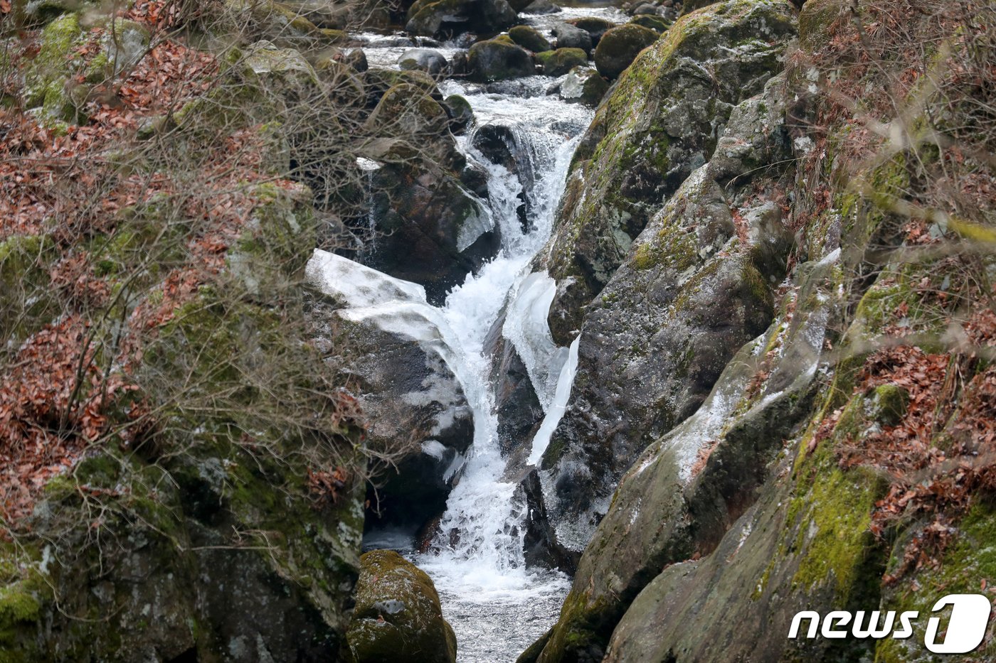 본문 이미지 -  강원 원주시 소초면에 위치한 치악산 구룡사 근처의 한 계곡. ⓒ News1