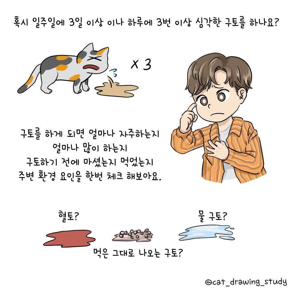 본문 이미지 -  ⓒ 뉴스1