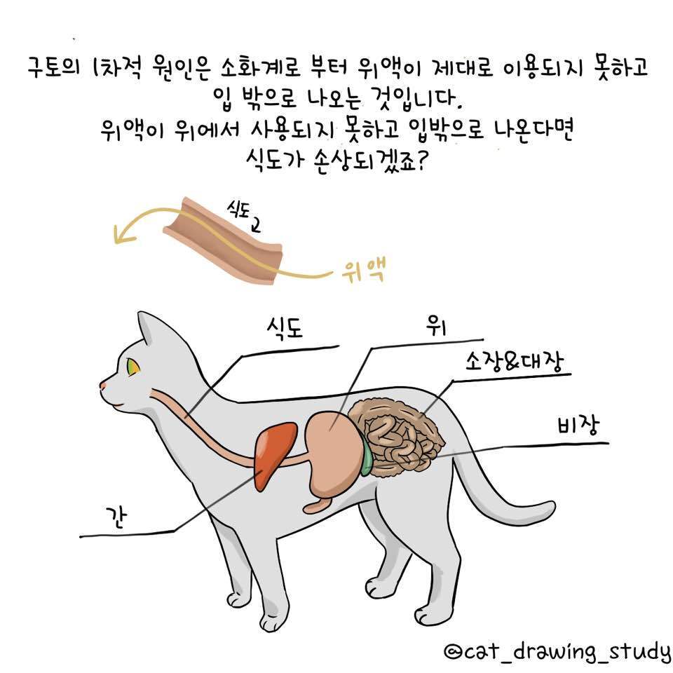 본문 이미지 -  ⓒ 뉴스1