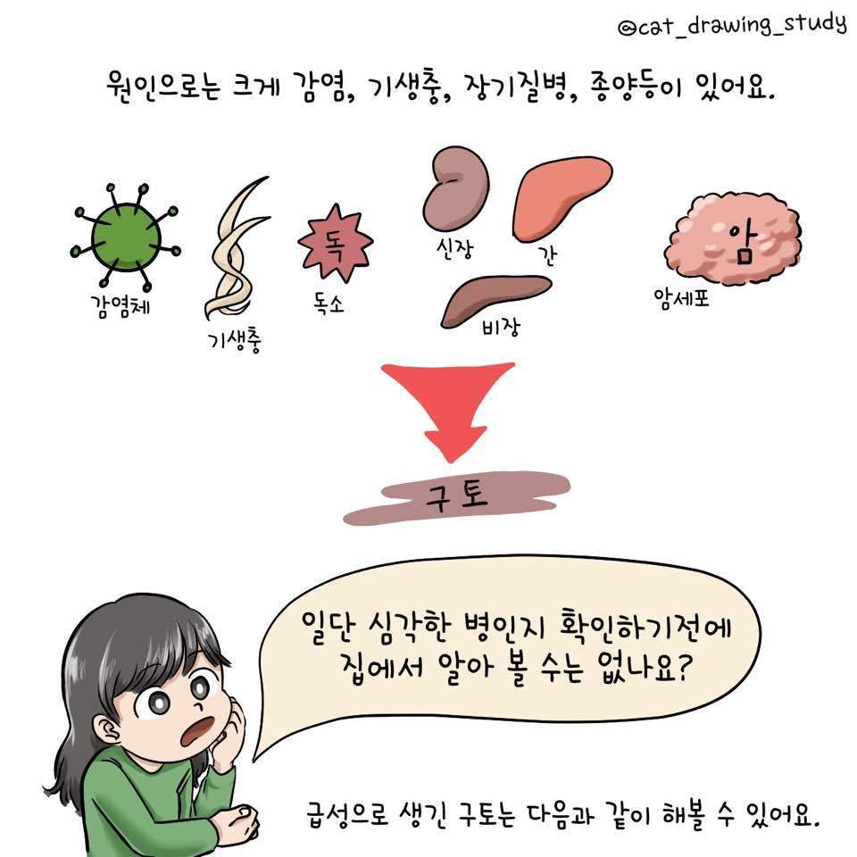 본문 이미지 -  ⓒ 뉴스1