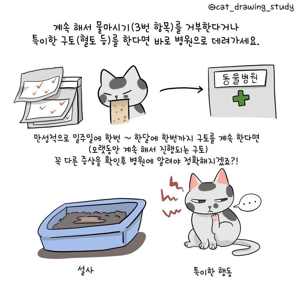 본문 이미지 - ⓒ 뉴스1 