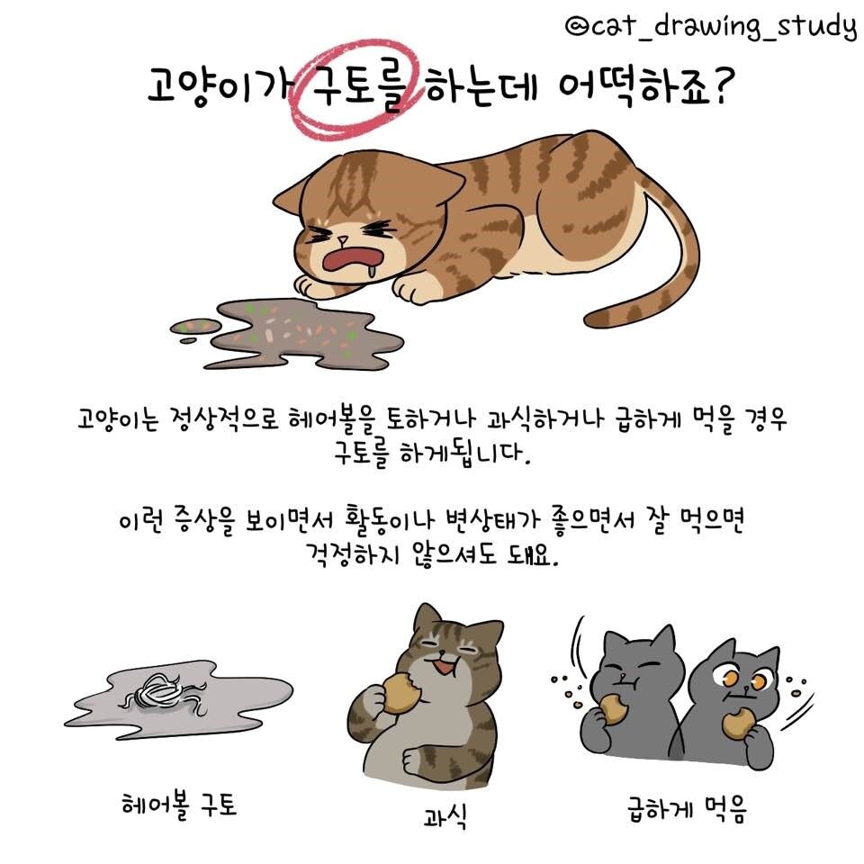 본문 이미지 - ⓒ 뉴스1