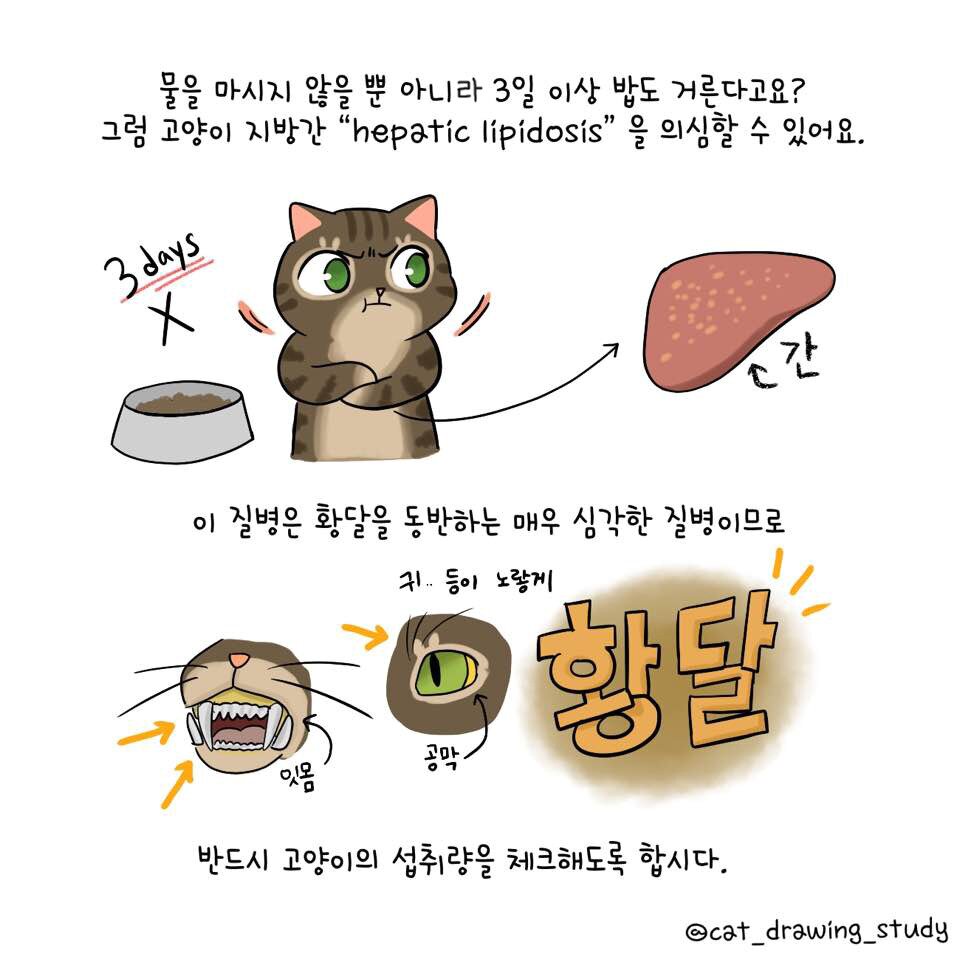 본문 이미지 - ⓒ 뉴스1