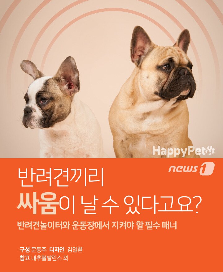 본문 이미지 -  