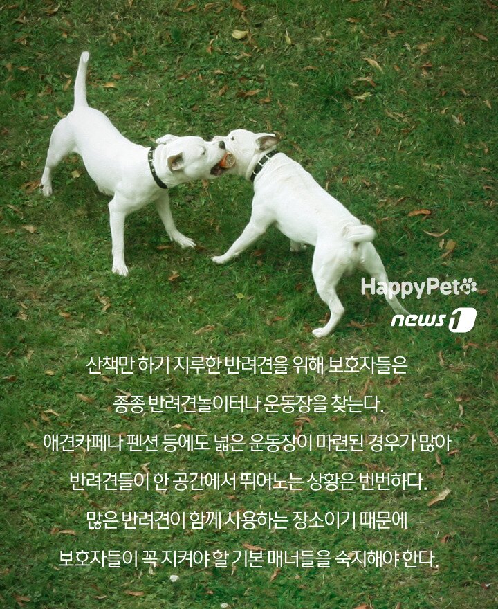 본문 이미지 -  