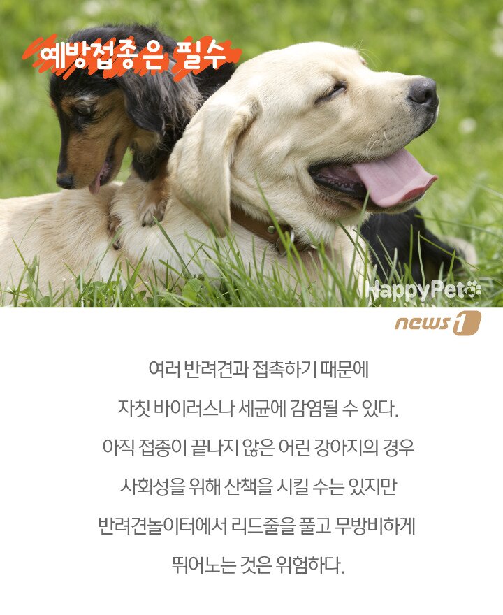 본문 이미지 -  