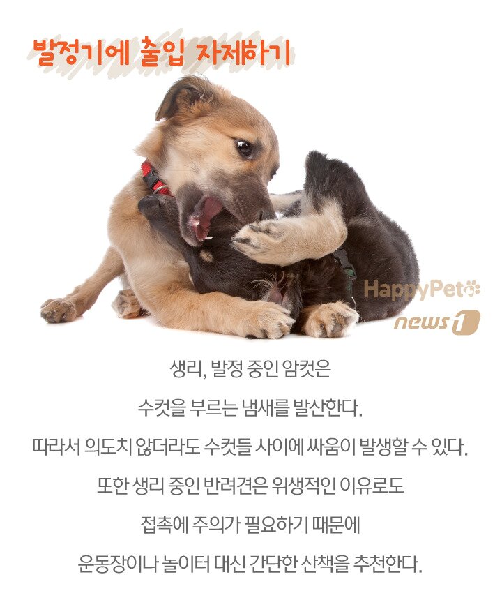 본문 이미지 -  