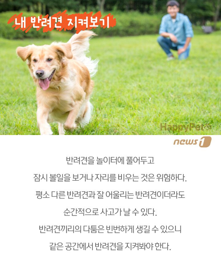 본문 이미지 -  
