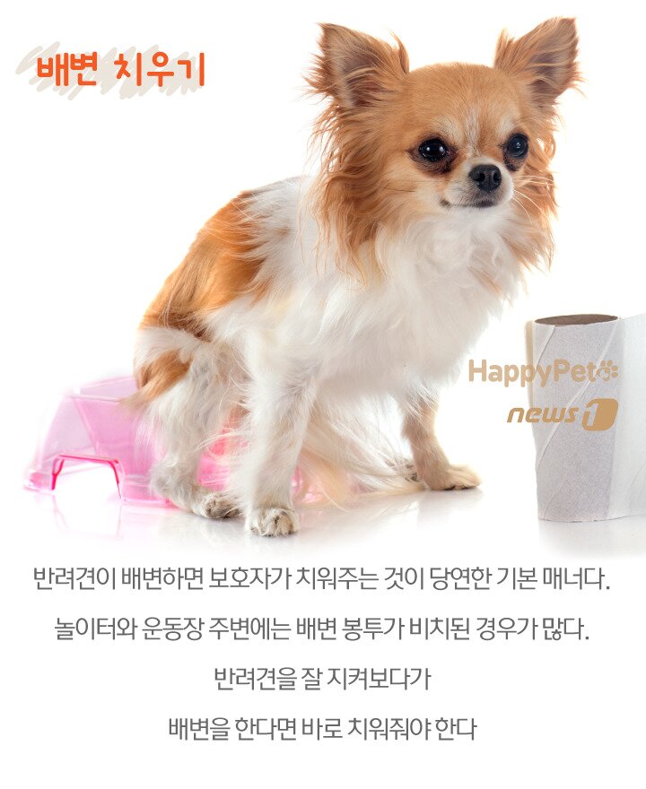 본문 이미지 -  