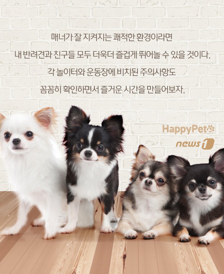 본문 이미지 -  