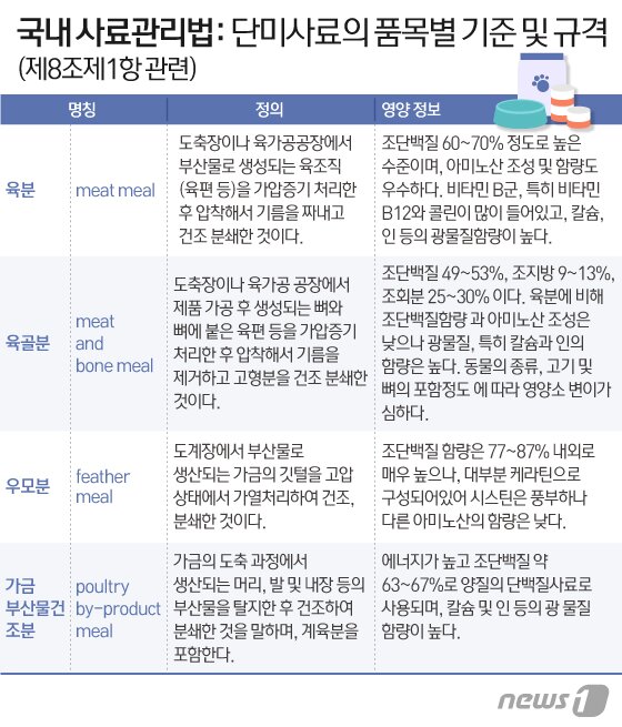 본문 이미지 - ⓒ News1 이지원 디자이너