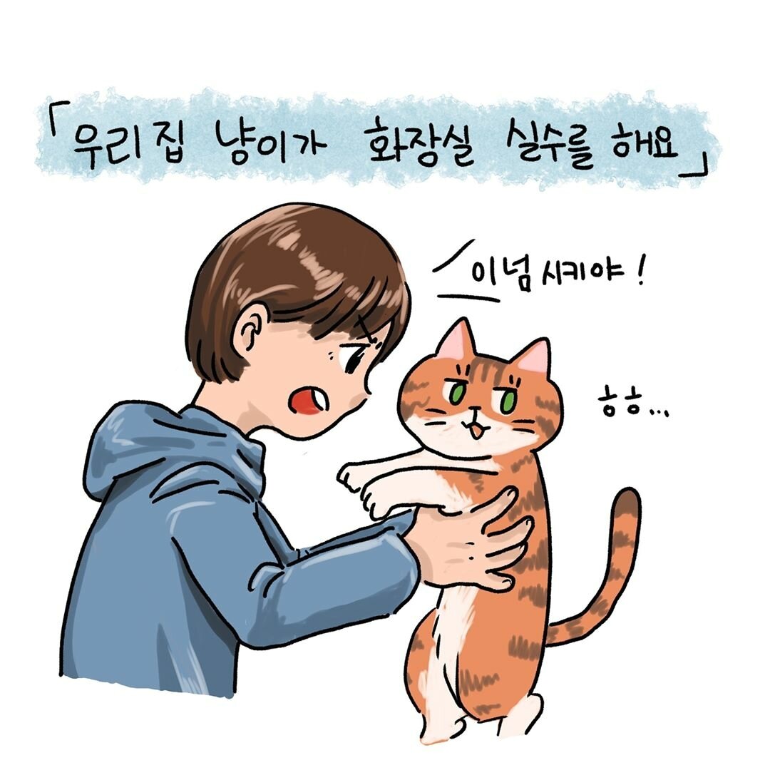 본문 이미지 - ⓒ 뉴스1 