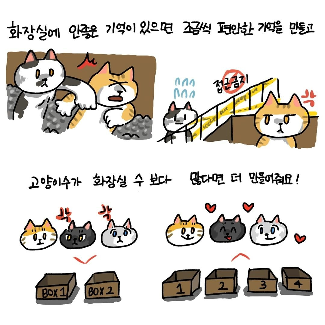 본문 이미지 -  ⓒ 뉴스1