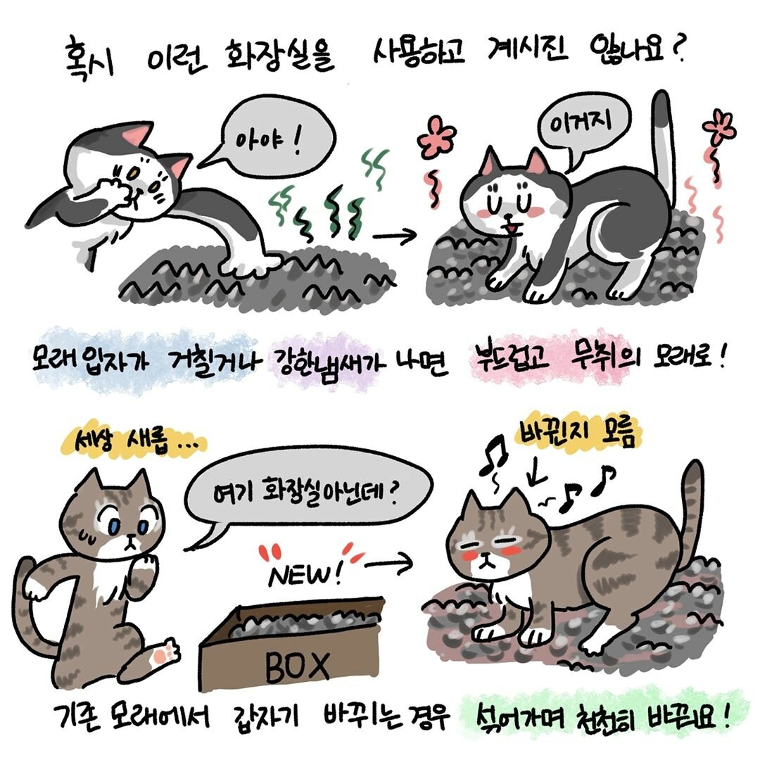 본문 이미지 -  ⓒ 뉴스1