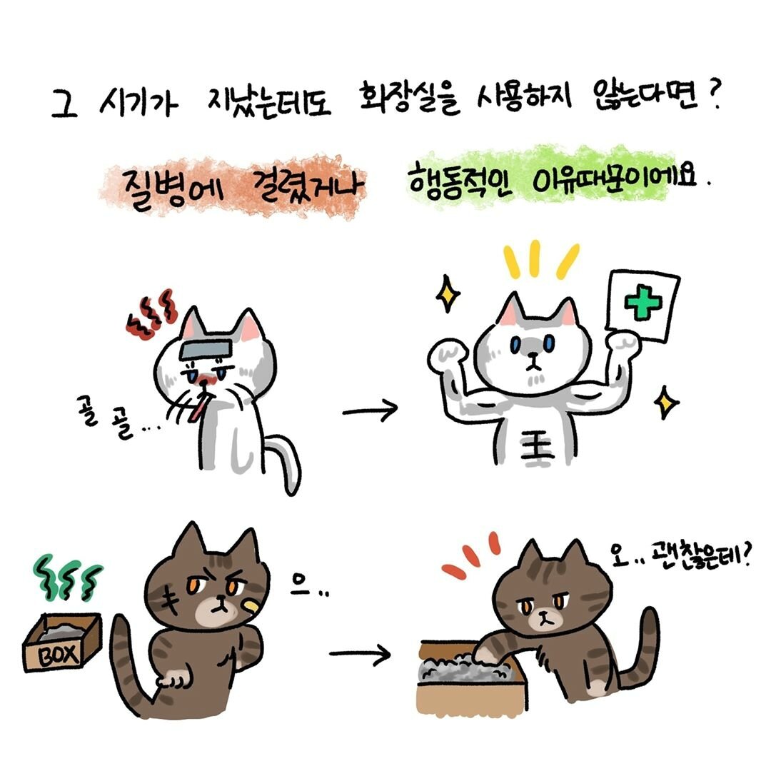 본문 이미지 -  ⓒ 뉴스1