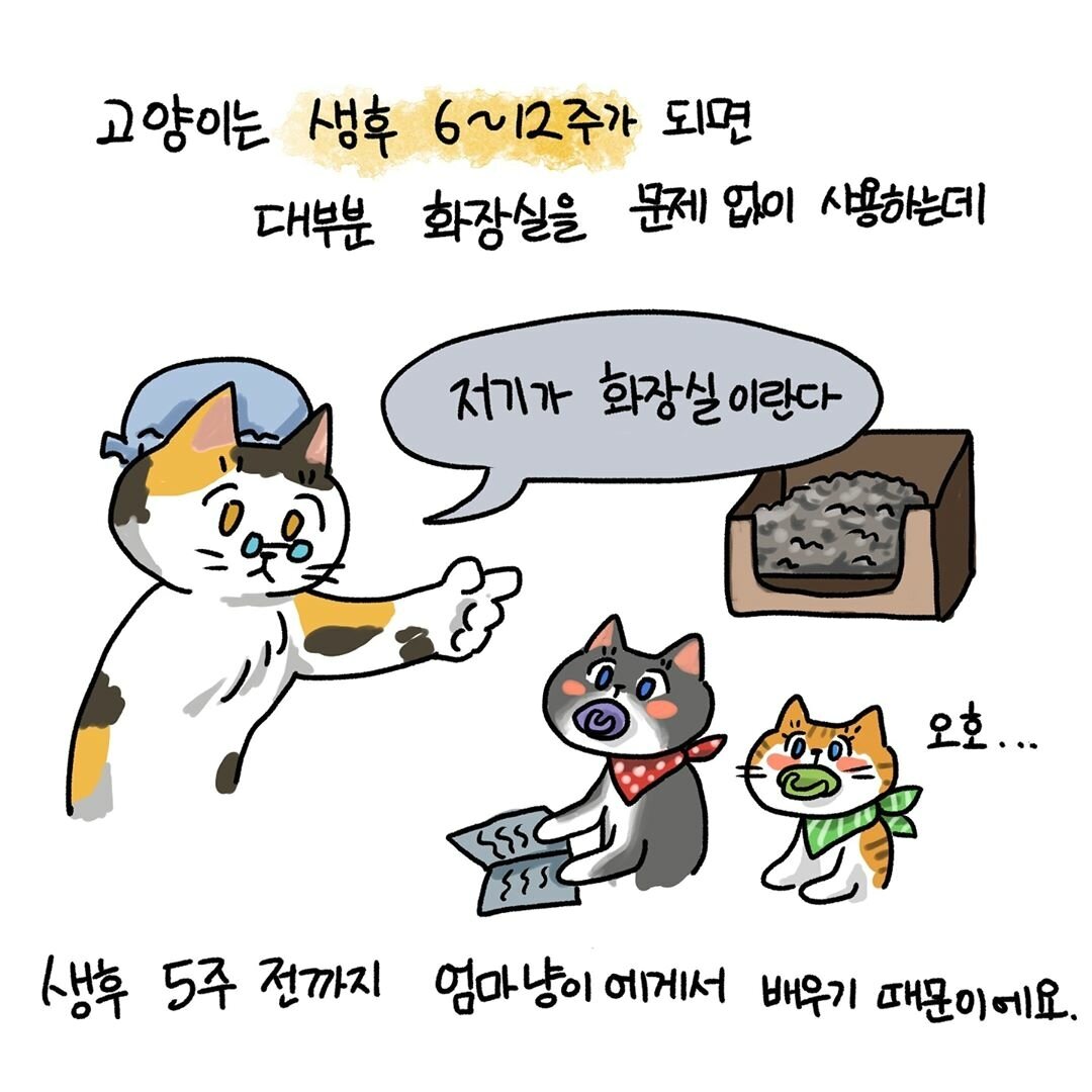 본문 이미지 -  ⓒ 뉴스1