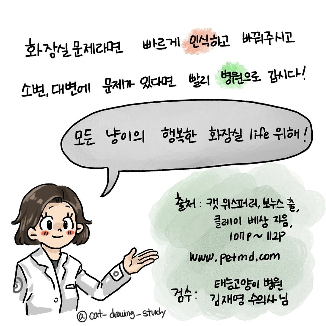 본문 이미지 -  ⓒ 뉴스1