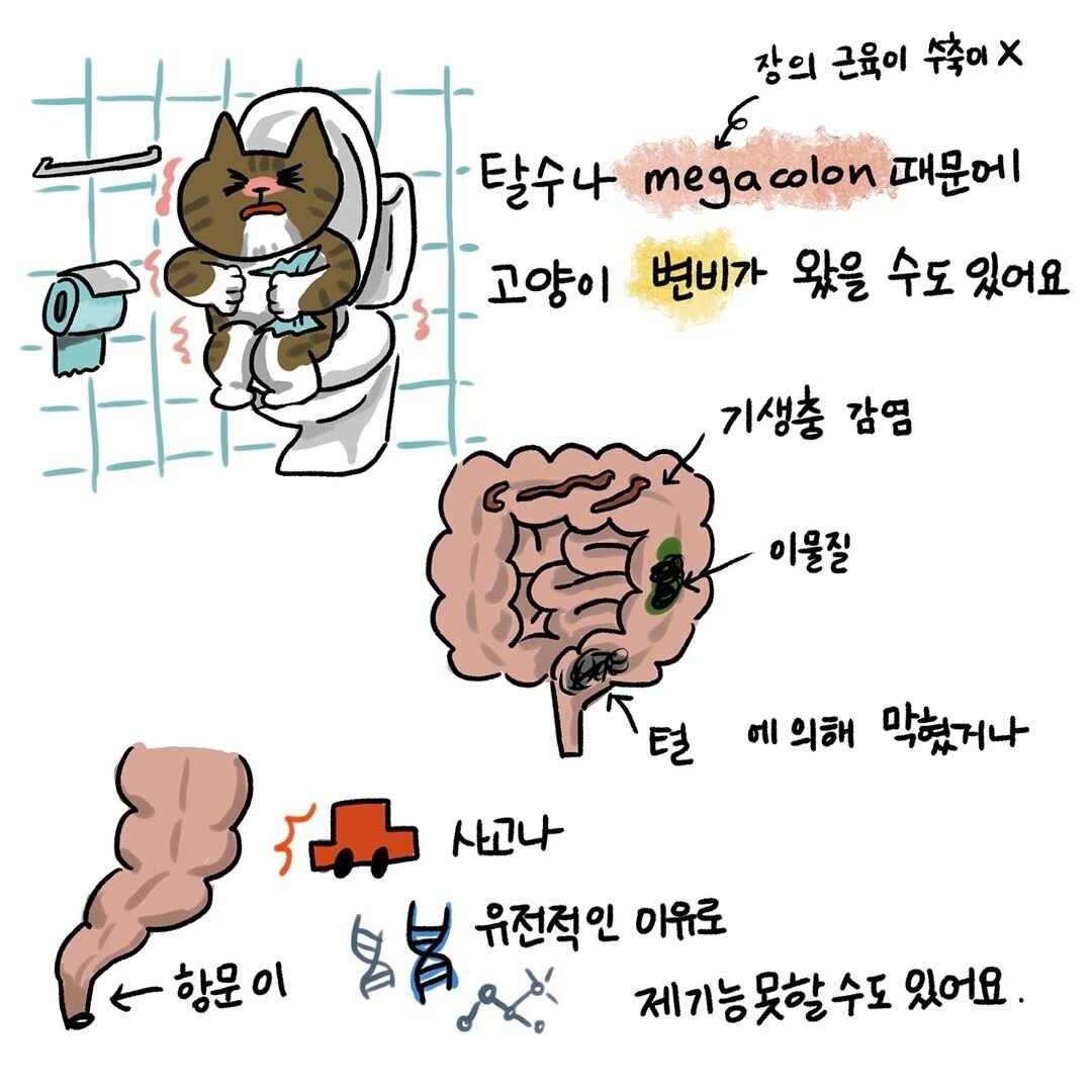 본문 이미지 -  ⓒ 뉴스1