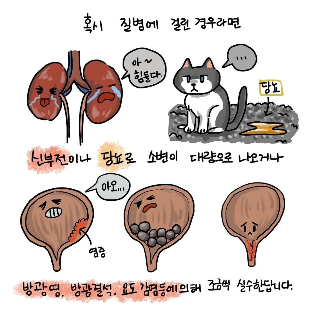 본문 이미지 -  ⓒ 뉴스1