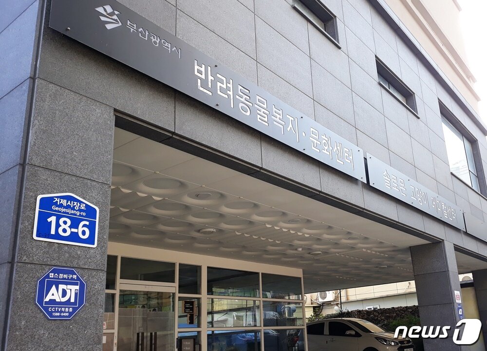 본문 이미지 - 부산시가 위탁 운영 중인 반려동물복지문화센터 건물 ⓒ 뉴스1 최서윤 기자