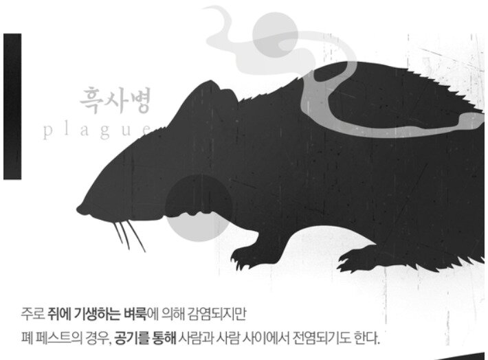 본문 이미지 - ⓒ 뉴스1