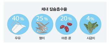 본문 이미지 - 이미지 제공=우유자조금관리위원회 ⓒ 뉴스1