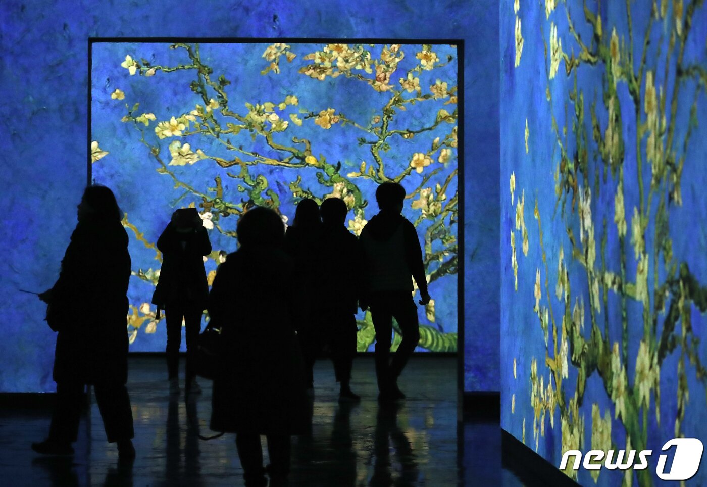본문 이미지 - 6일 오전 제주 서귀포시 성산읍 빛의 벙커에서 개막한 반 고흐 전을 찾은 관람객들이 작품을 감상하고 있다.2019.12.6/뉴스1 ⓒ News1 오현지 기자